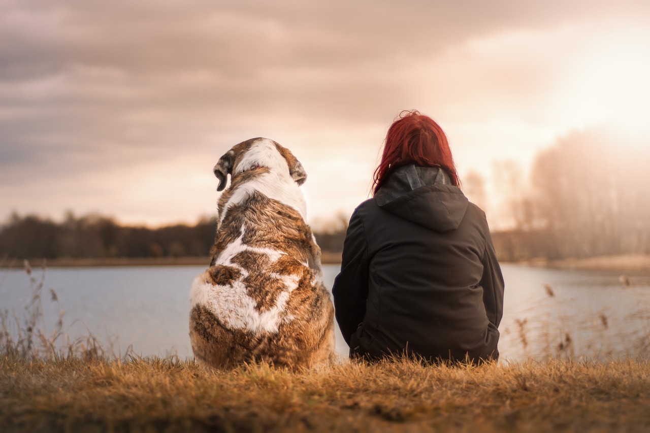 Caring Vets: dierenwelzijn op 1
