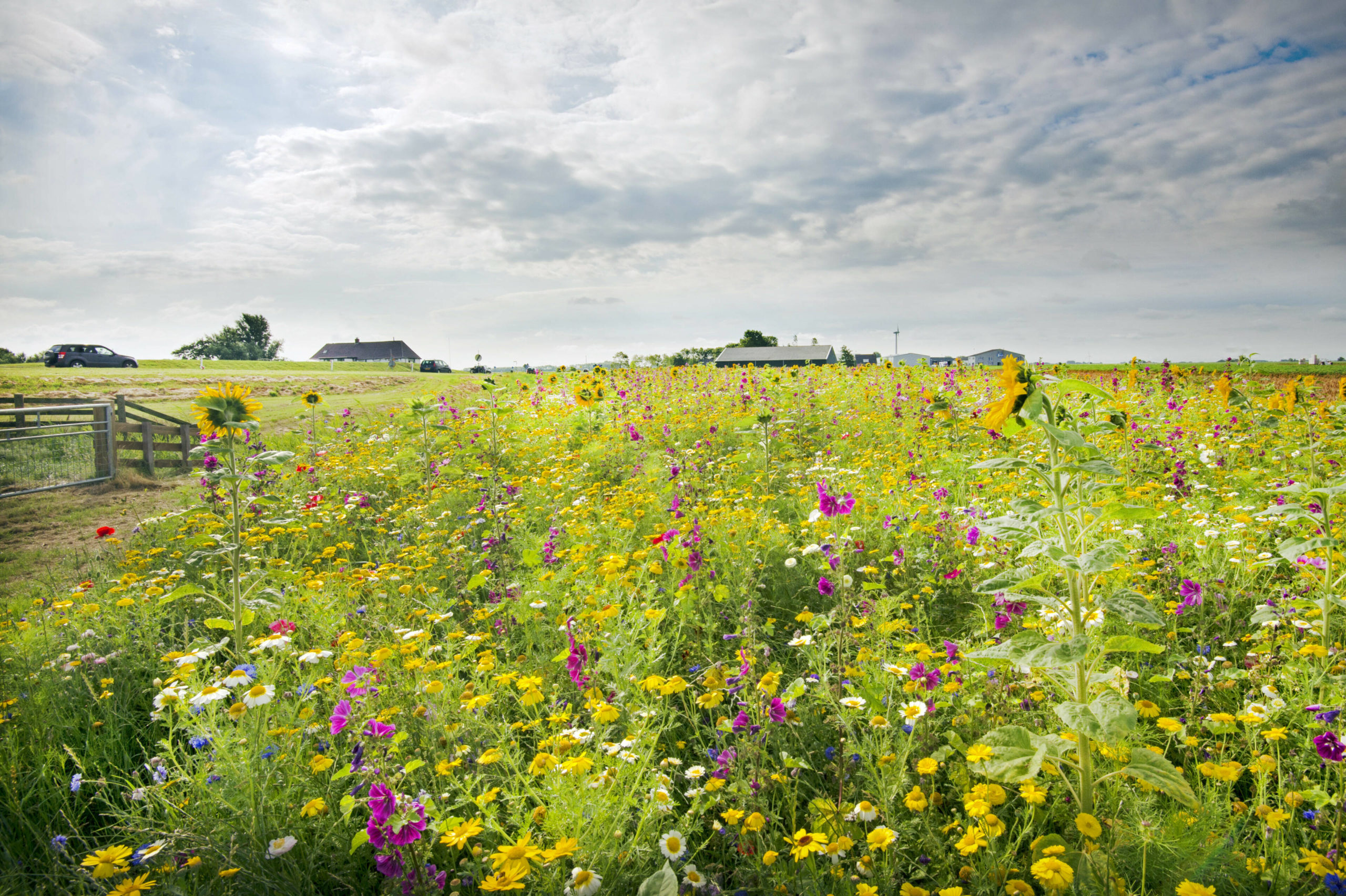 natuurinclusief weiland